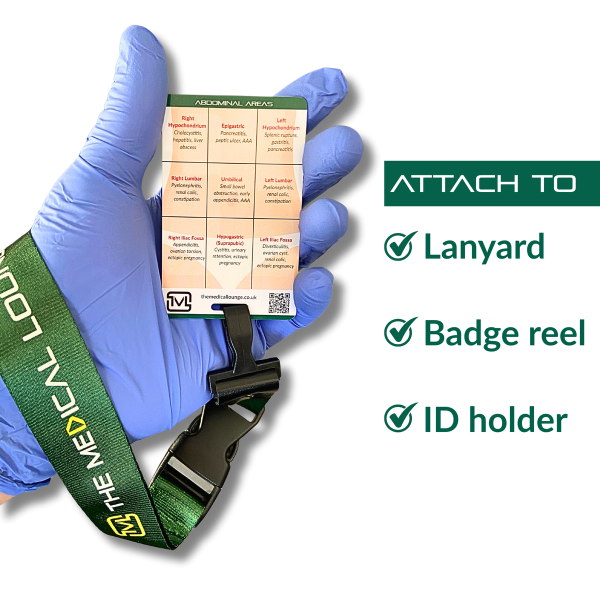 Abdominal Assessment Reference Card