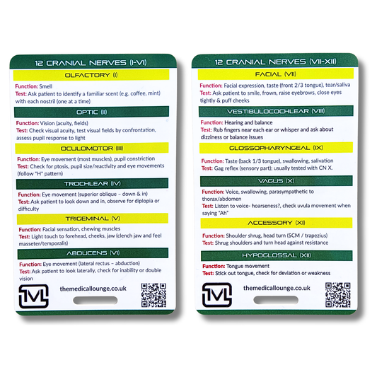 Cranial Nerves (I–XII) Reference Card