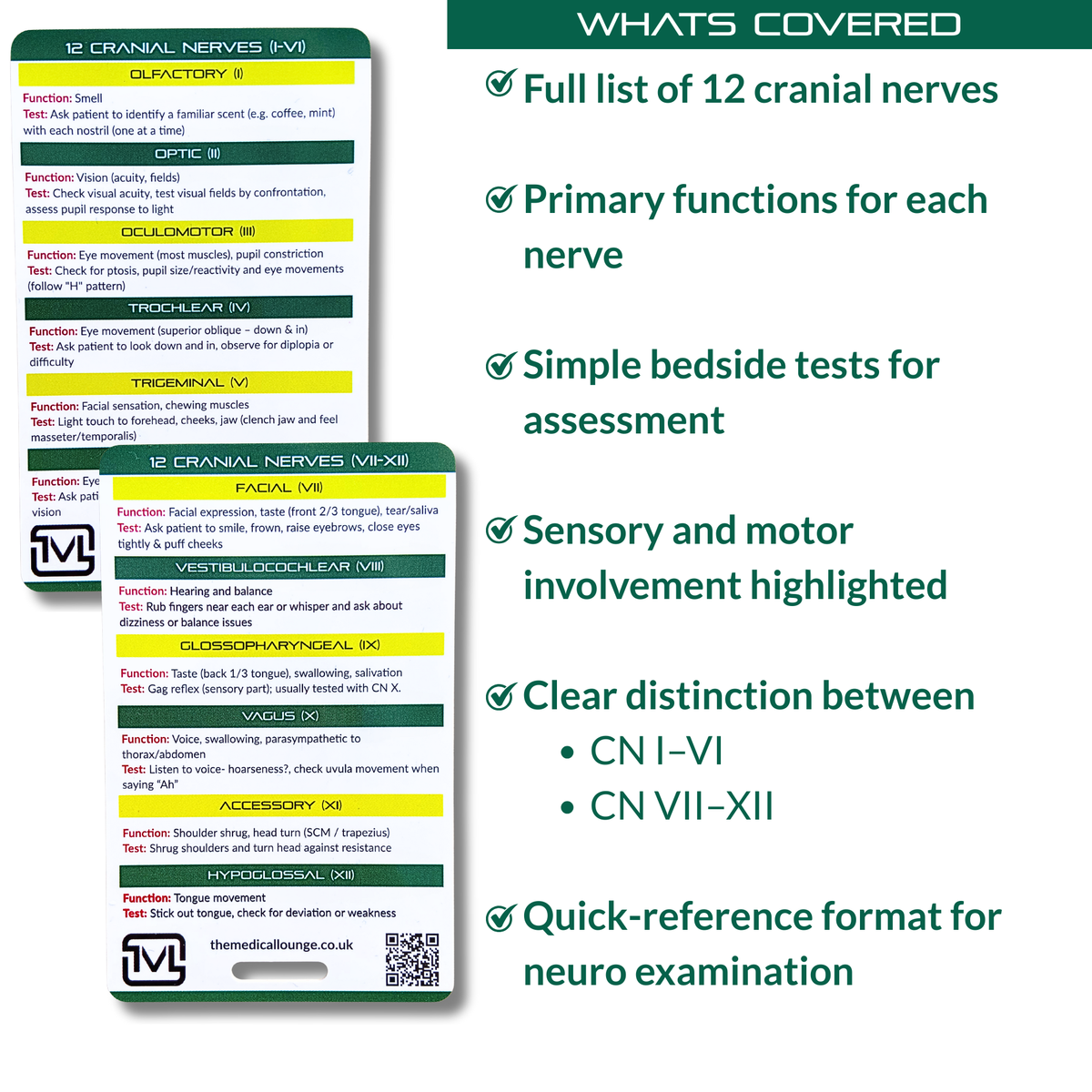 Cranial Nerves (I–XII) Reference Card