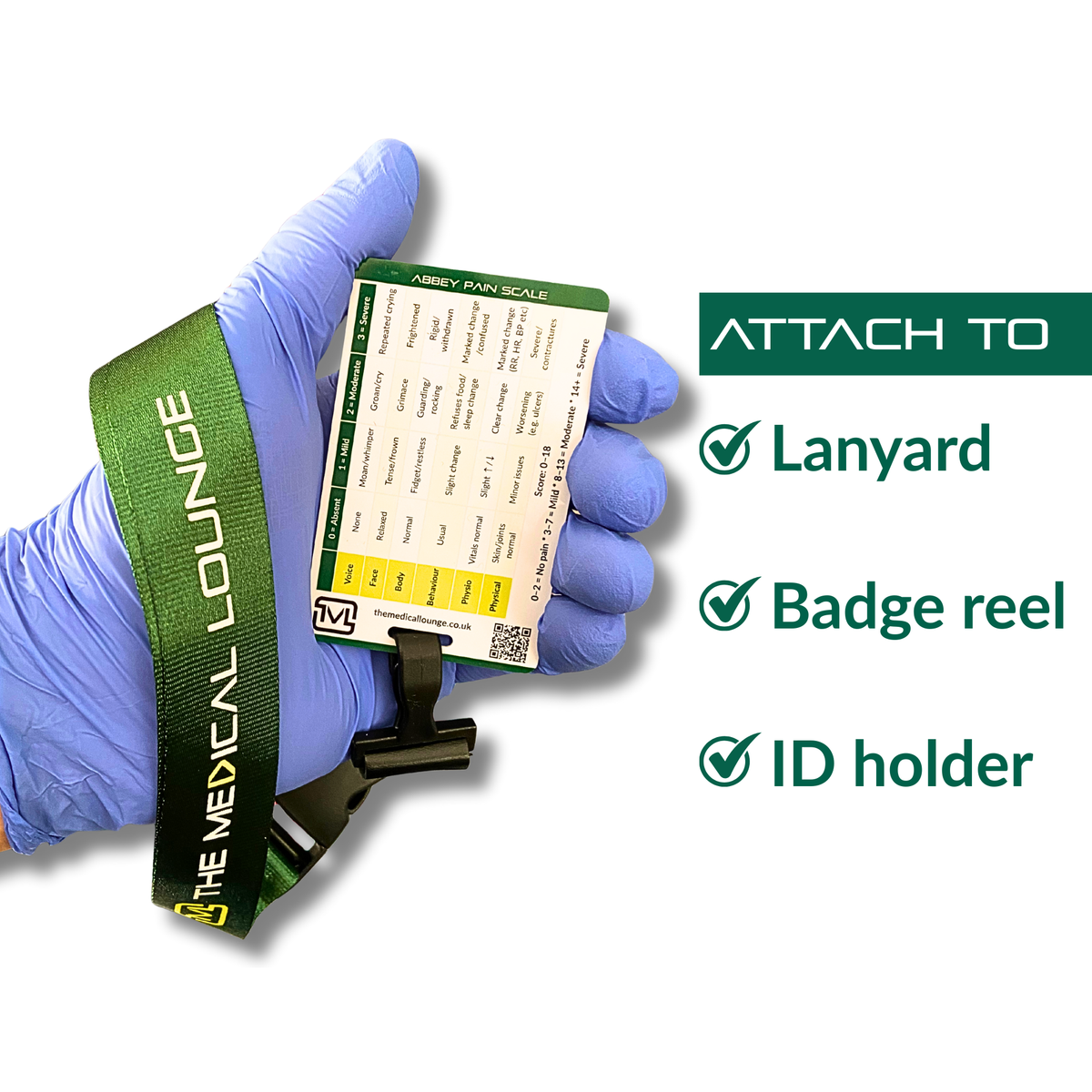 Abbey Pain Scale & PAINAD Reference Card