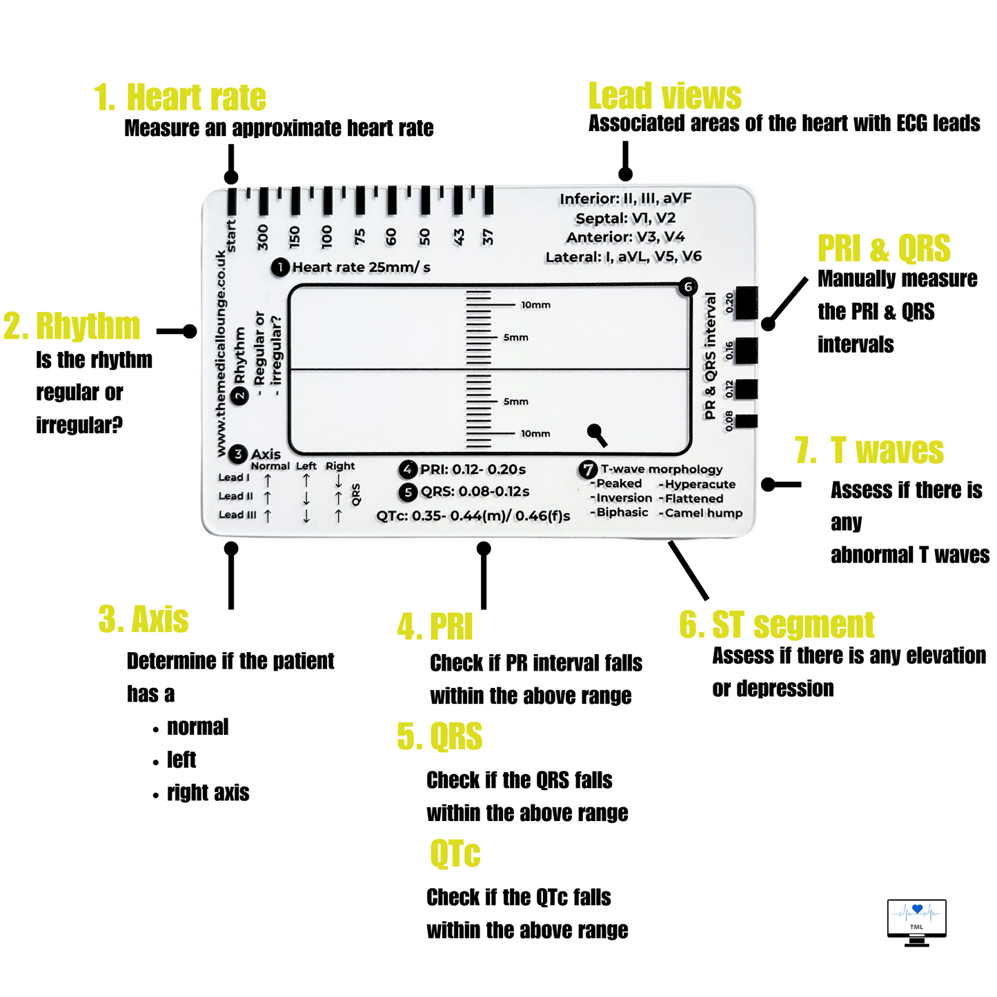 ECG Fundamentals Course + ECG Ruler