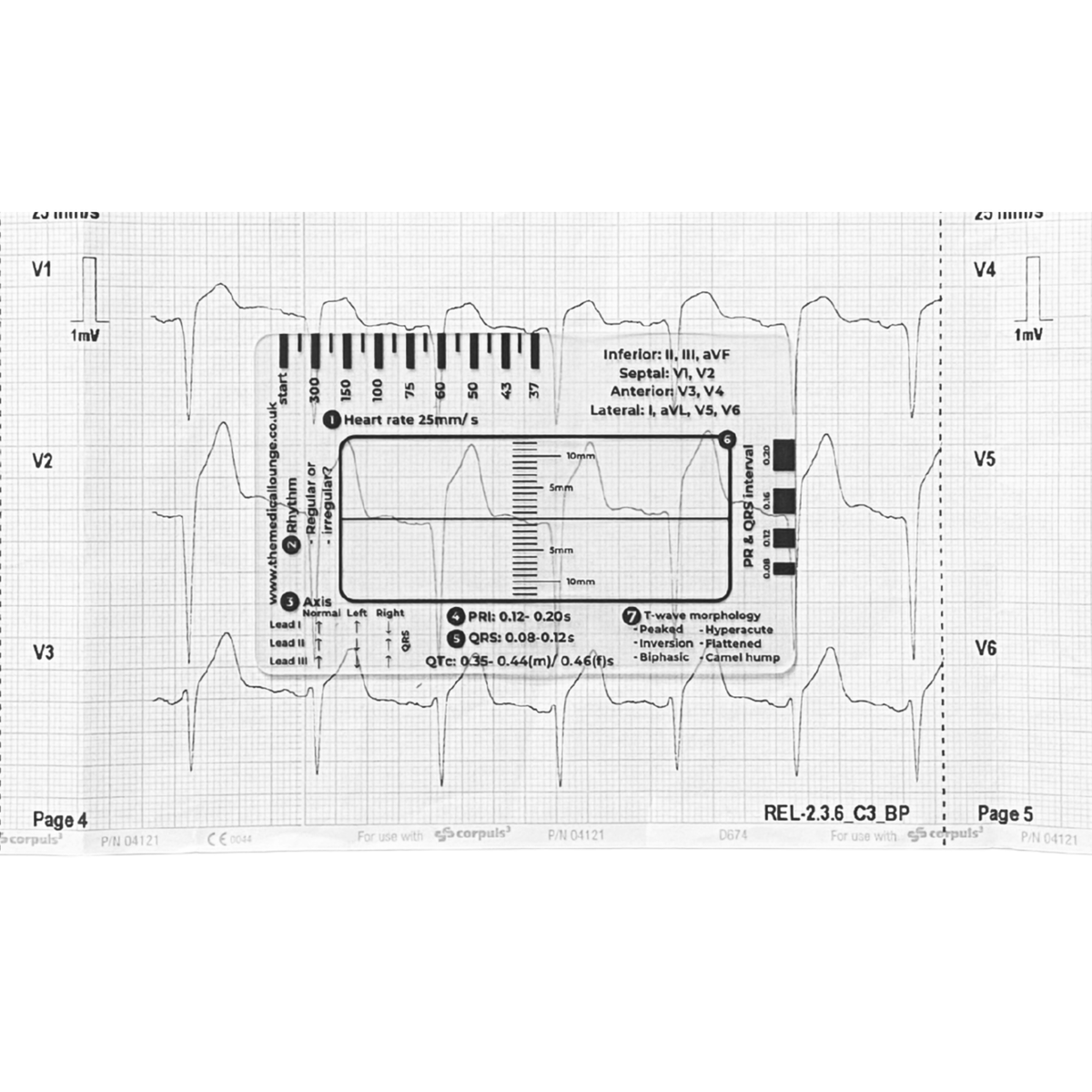 ECG Fundamentals Course + ECG Ruler